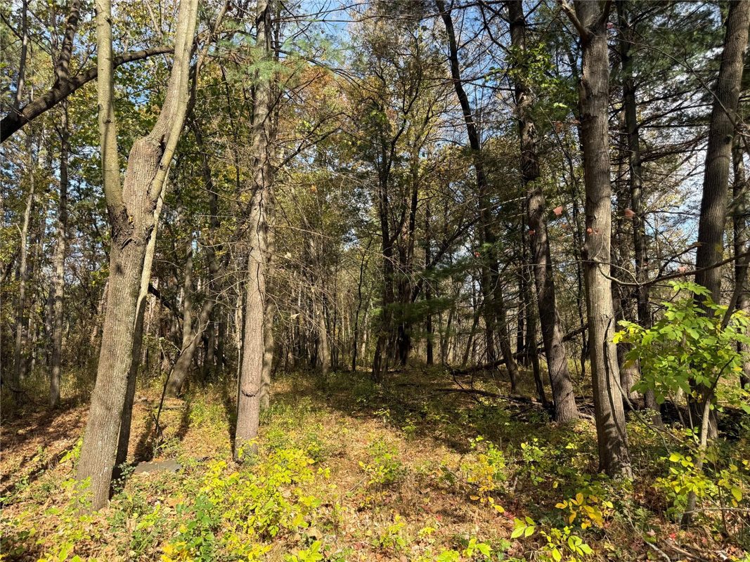 N2108 State Hwy 54, Melrose WI 54642 - Residential house for sale - MLS #1605938 - image12