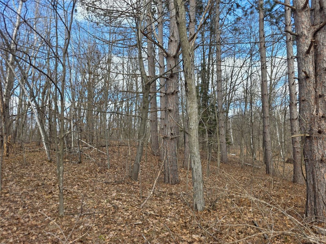 00 Highway W Weyerhaeuser WI 54895 — photo 8