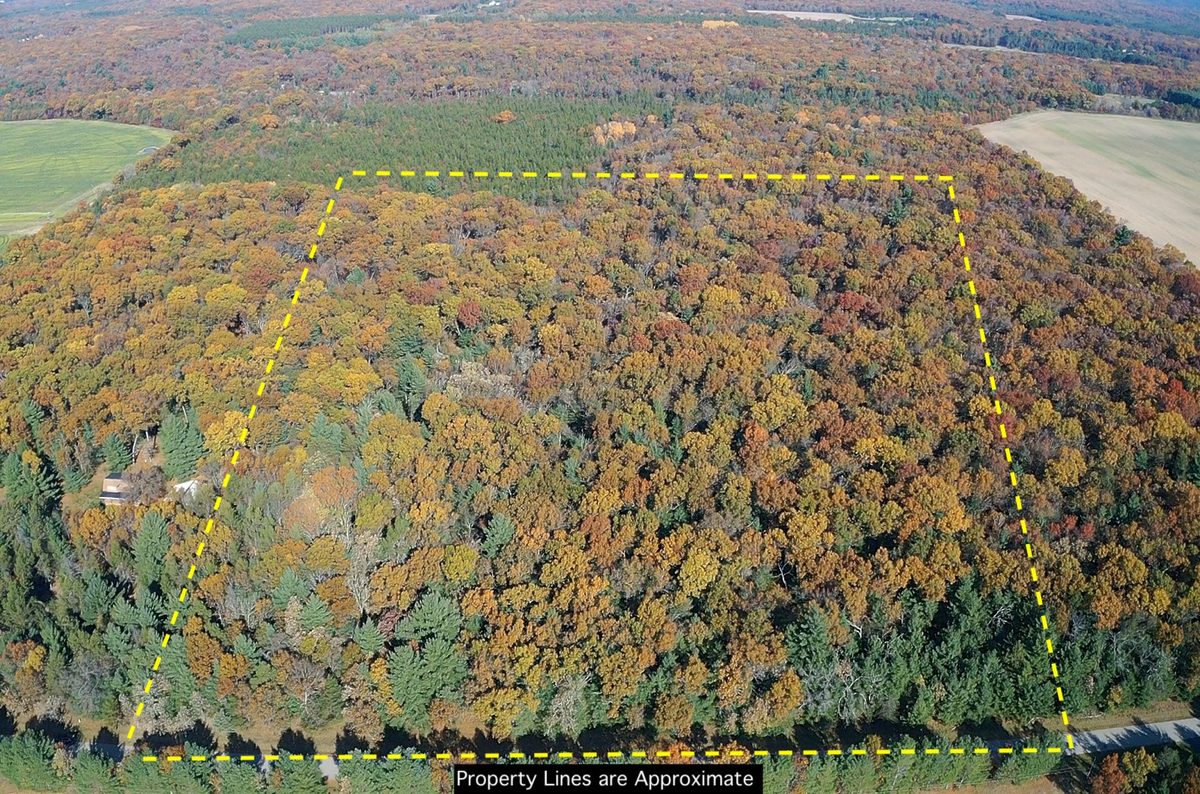 TBD Fish Drive, Grand Marsh WI 53936 - Land house for sale - MLS #1606229 - image5