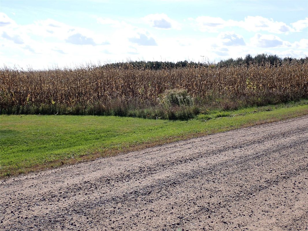 70.54 acres 26 1/2 St, Cumberland WI 54829 - Land house for sale - MLS #1605975 - image3