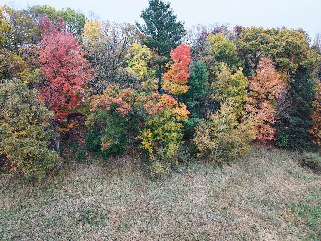 1345 100th Street, Amery WI 54001 - Land house for sale - MLS #1606027 - image15