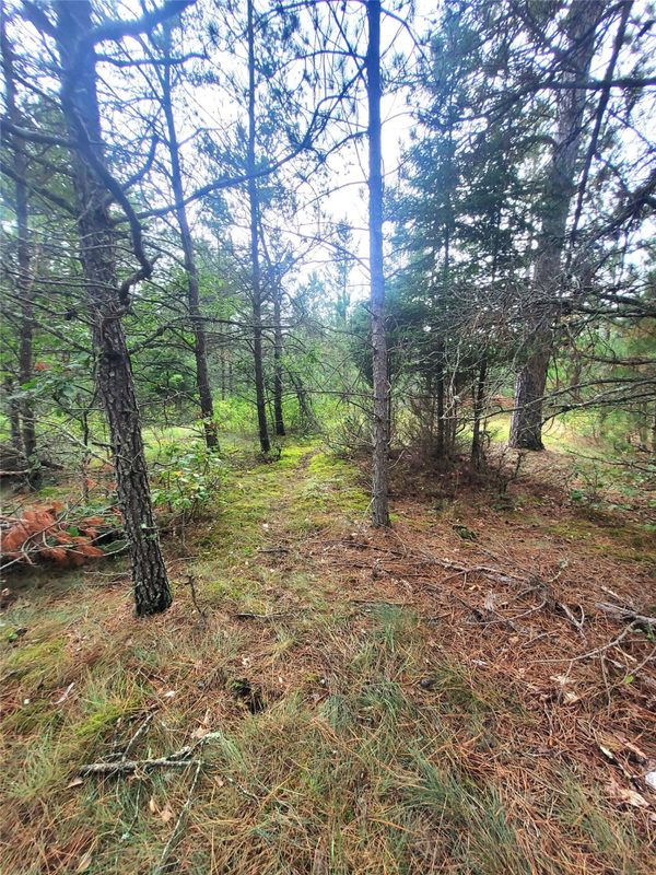 0 Blueberry Rd, Gordon WI 54838 - Land house for sale - MLS #1604990 - image23