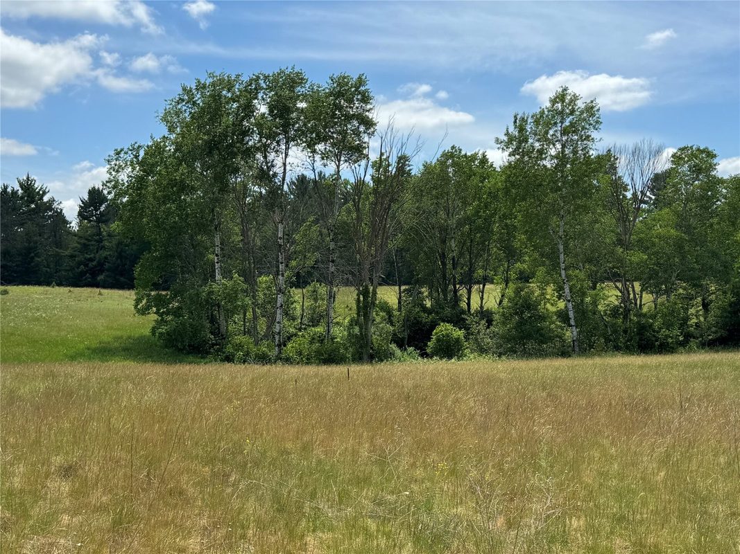 N 6398 Fred Tripp Road, Springbrook WI 54875 - Land house for sale - MLS #1602077 - image28