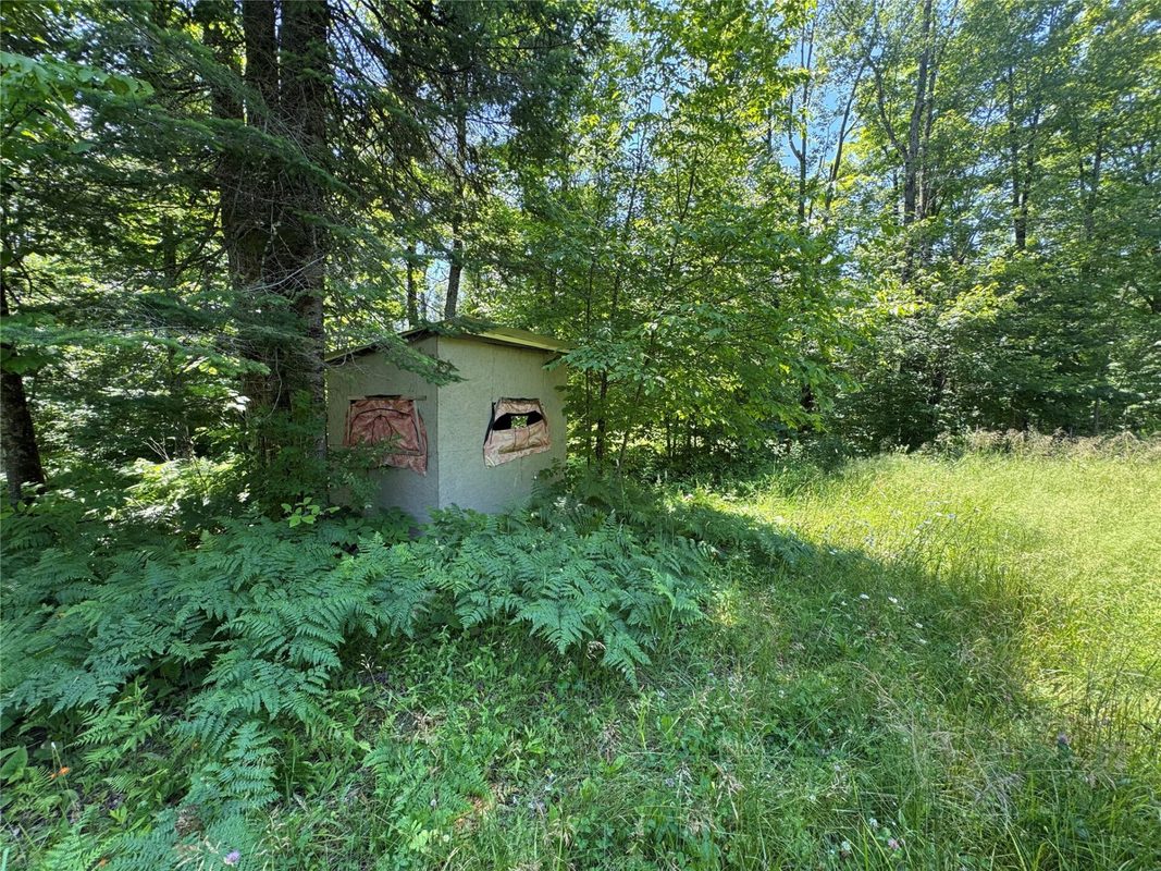 7154 Mc Dermott Road, Winter WI 54896 - Residential house for sale - MLS #1602865 - image44