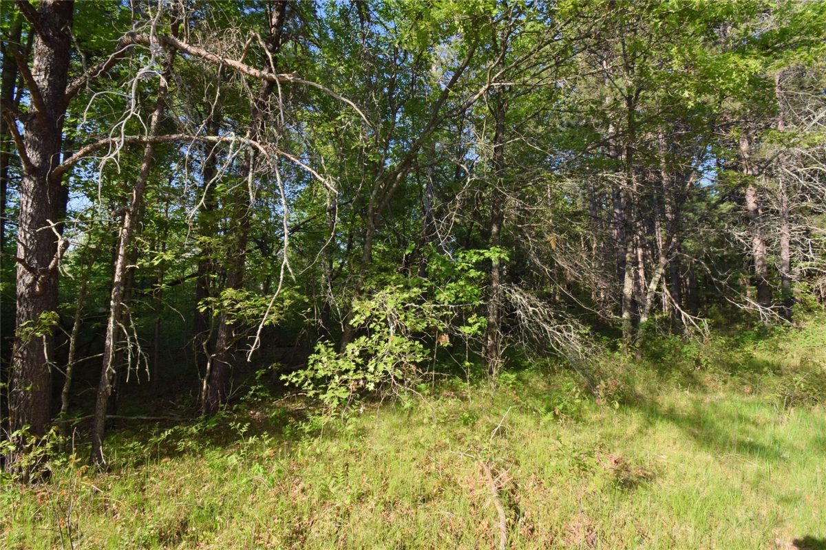 Lot 31 Setting Sun Trail Way, Danbury WI 54830 - Land house for sale - MLS #1601782 - image12