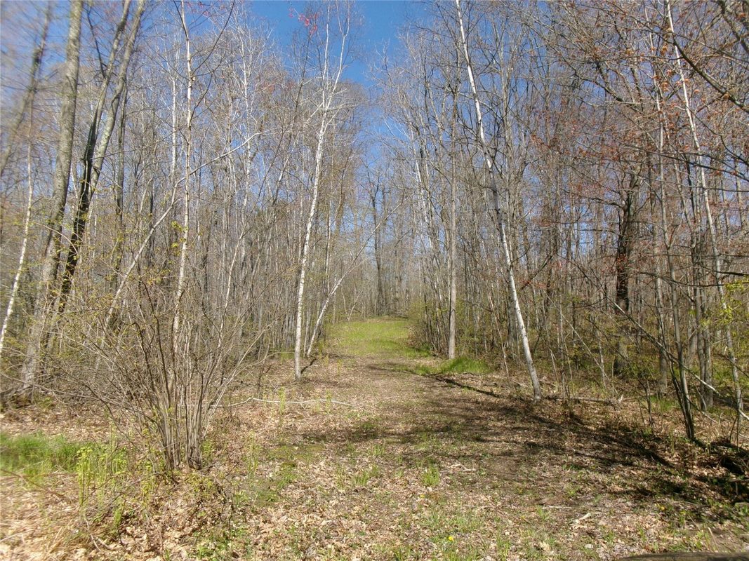 Tax ID 35410 Moody Lake Road, Sarona WI 54870 - Land house for sale - MLS #1601029 - image10