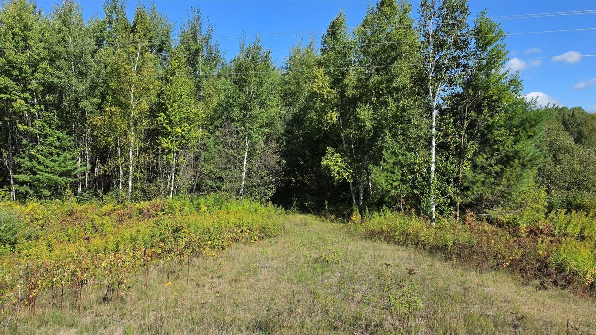 4602W State Highway 70, Winter WI 54896 - Land house for sale - MLS #1605196 - image2