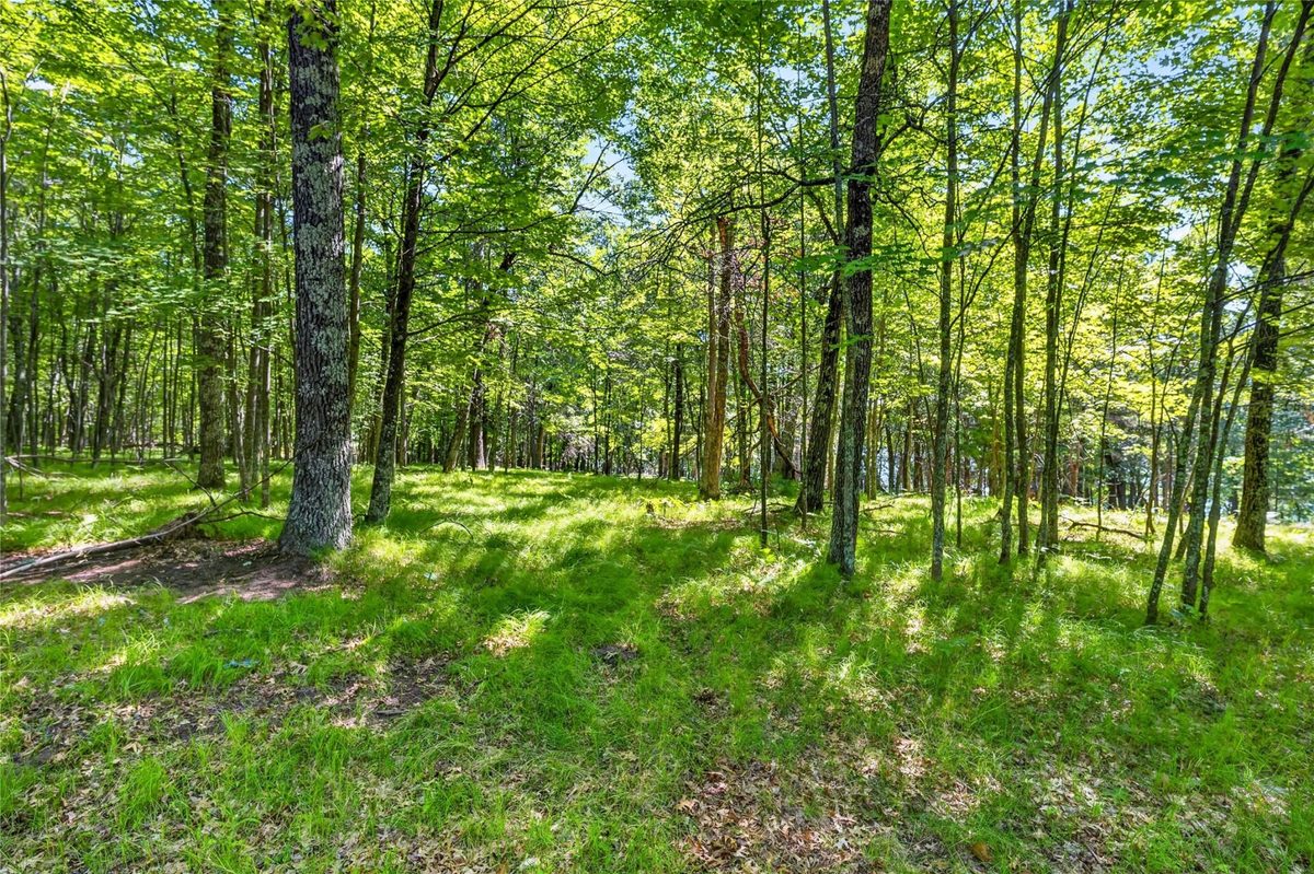 51260 Birch Lake Road, Barnes WI 54873 - Land house for sale - MLS #1603549 - image16