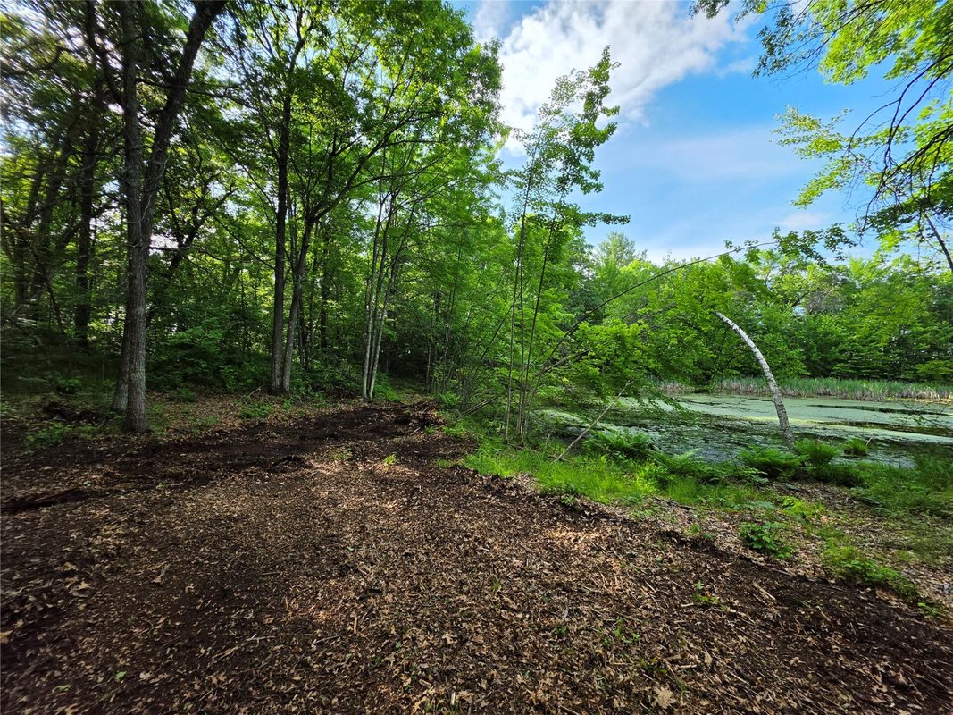 27646 295th (Lot 14) Avenue, Holcombe WI 54745 - Land house for sale - MLS #1602155 - image12