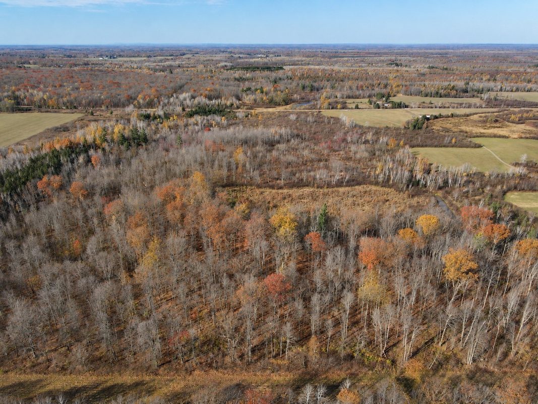 TBD Fedyn Road, Ladysmith WI 54848 - Land house for sale - MLS #1606244 - image8