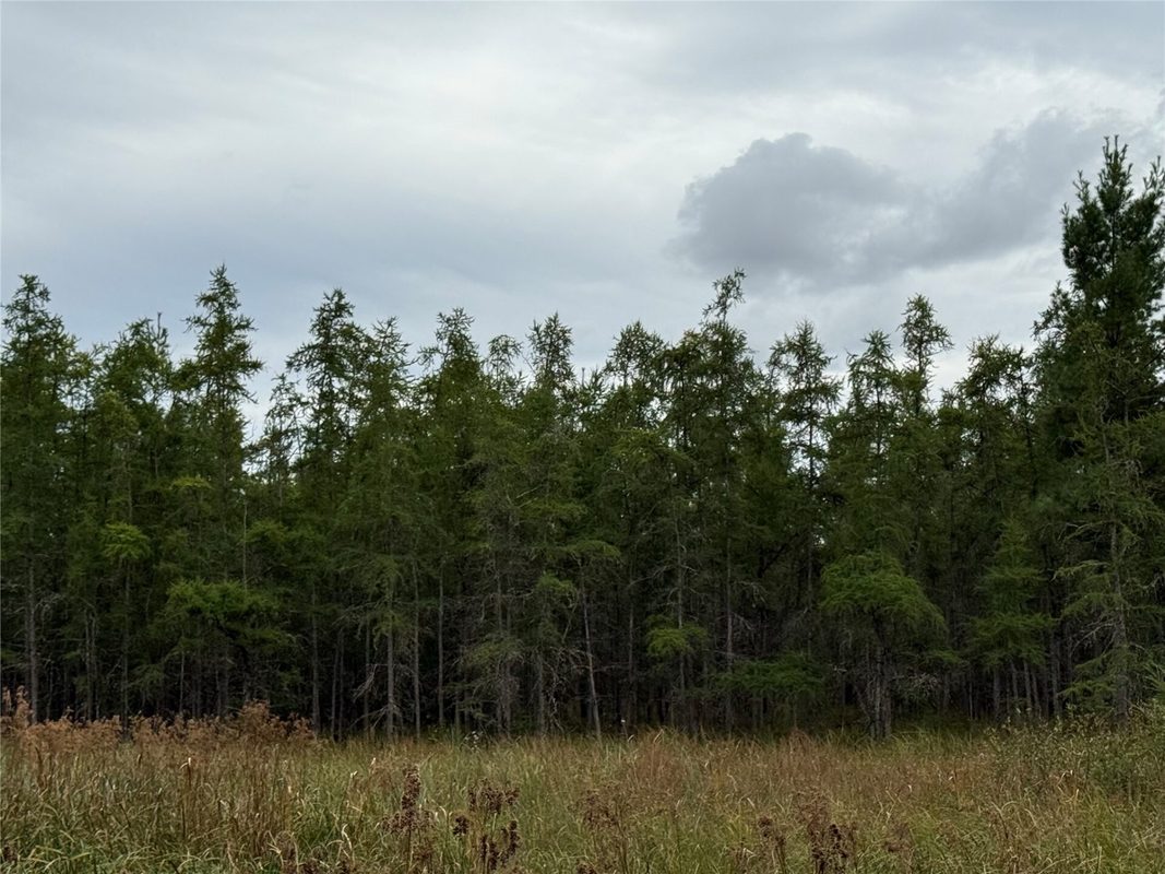 XXX 23 1/2 Street, Rice Lake WI 54868 - Land house for sale - MLS #1605312 - image21