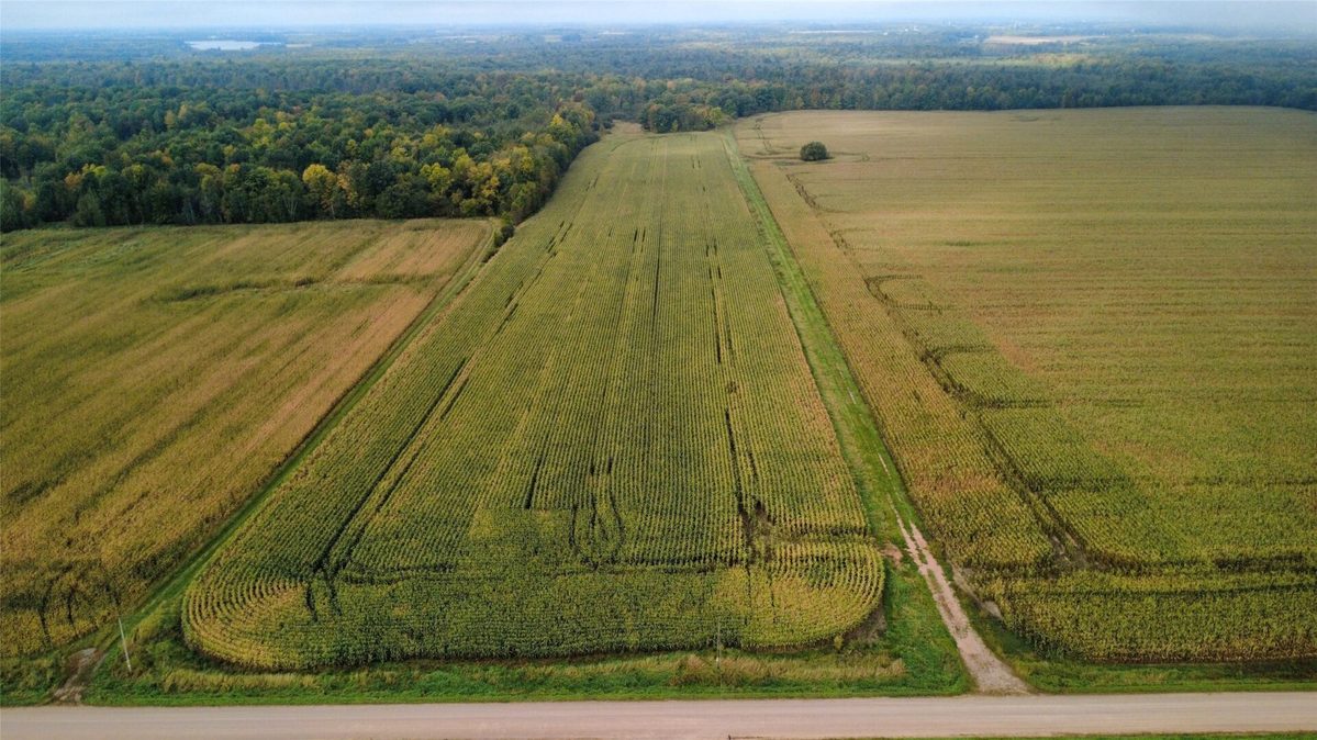 000 Miller Avenue, Owen WI 54460 - Land house for sale - MLS #1605509 - image6