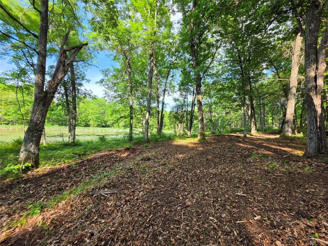 27646 295th (Lot 14) Avenue, Holcombe WI 54745 - Land house for sale - MLS #1602155 - image13