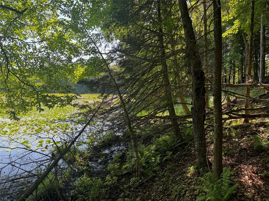 Lot 8 Crane Lane, Hayward WI 54843 - Land house for sale - MLS #1603375 - image29