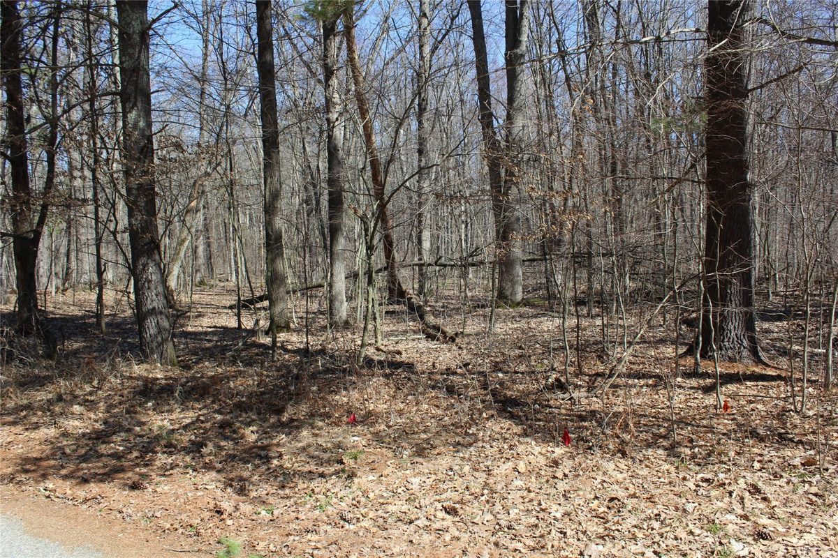 00 Resewood Ave. Lot – 3 Neillsville WI 54456 — photo 13