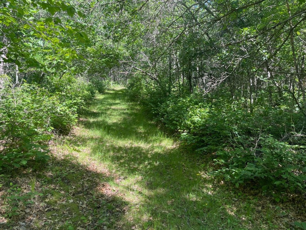 12997 Mail Road, Gordon WI 54838 - Residential house for sale - MLS #1602637 - image38
