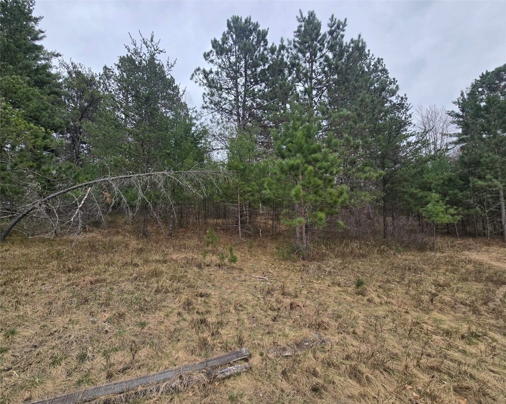 Lot 20 George Lake Road, Barnes, WI — photo 5
