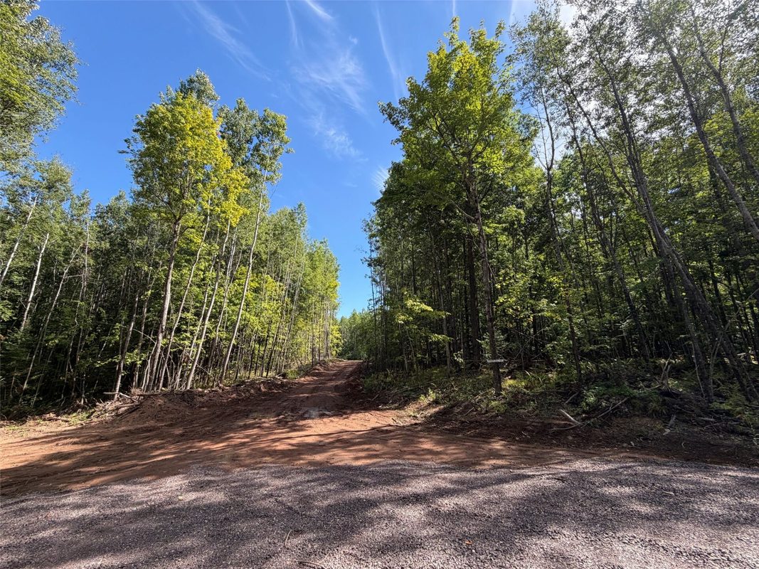 Parcel 4 County Road A, Solon Springs WI 54873 - Land house for sale - MLS #1604811 - image5