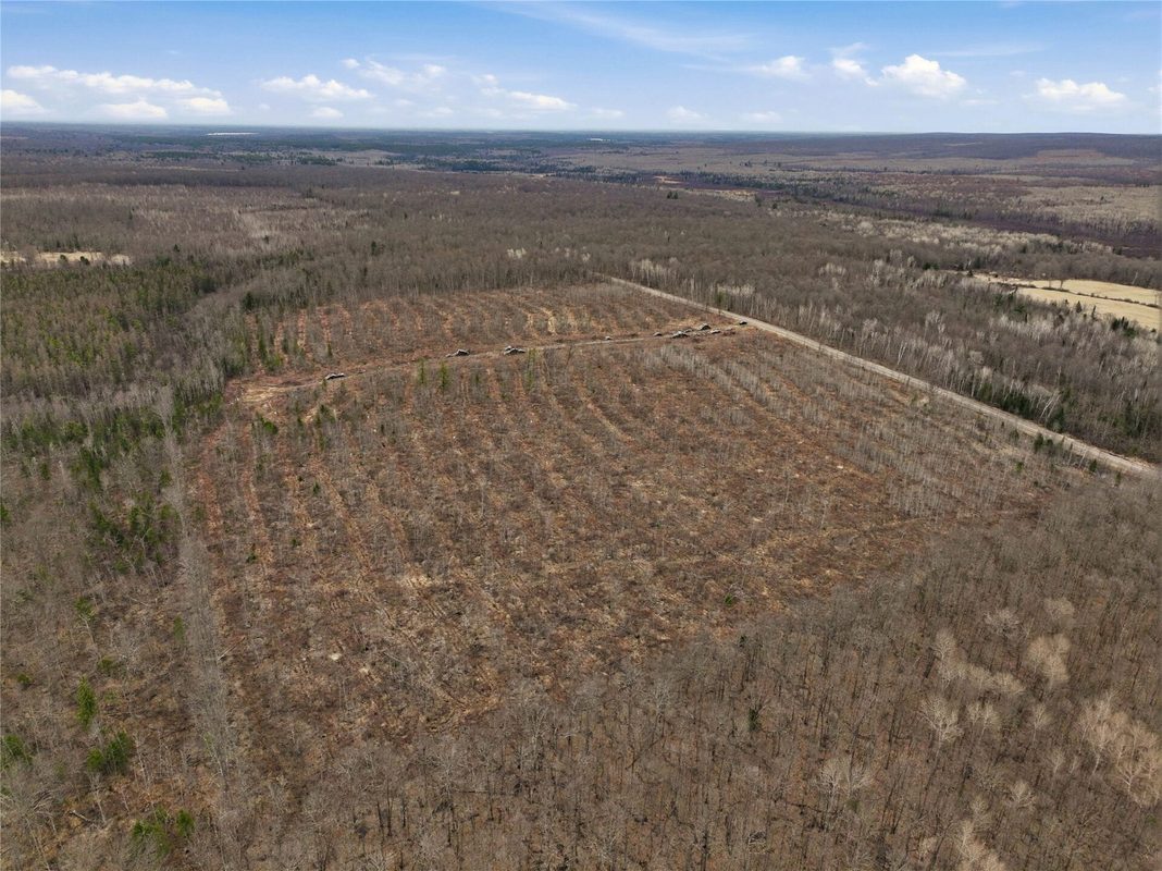 51.54 Acres Along County Road CC, Couderay, WI — photo 7