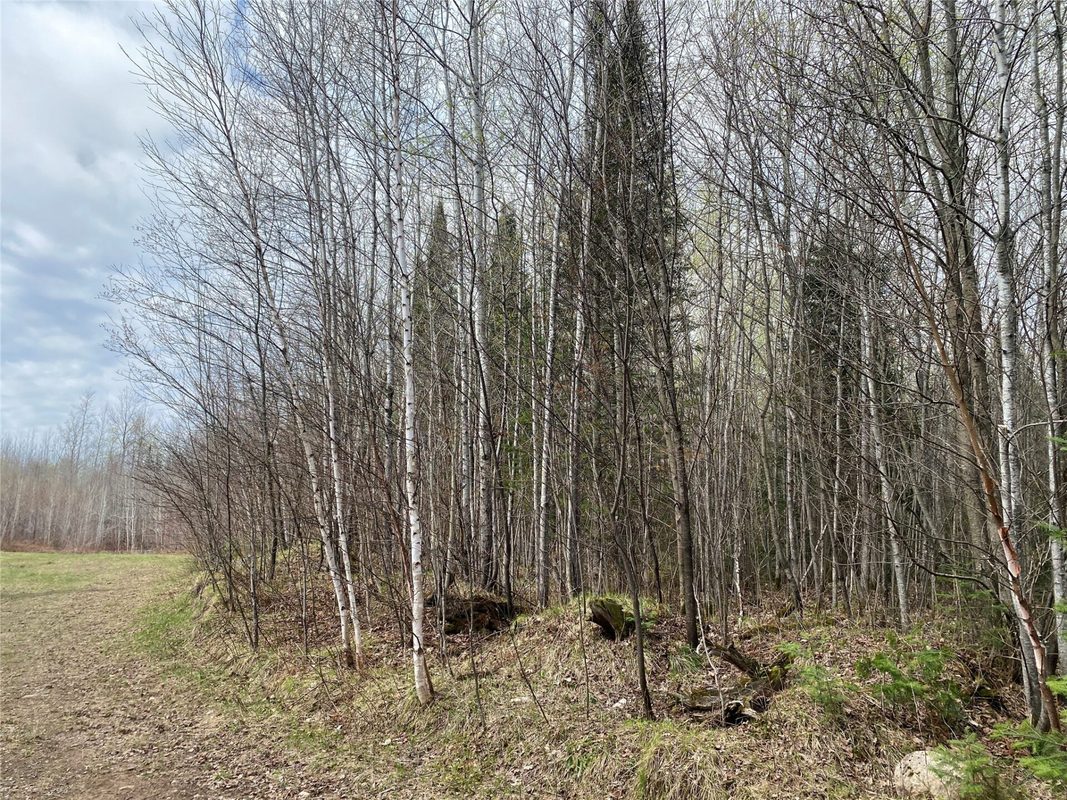 Near Wilson Lake Road Phillips WI 54555 — photo 2