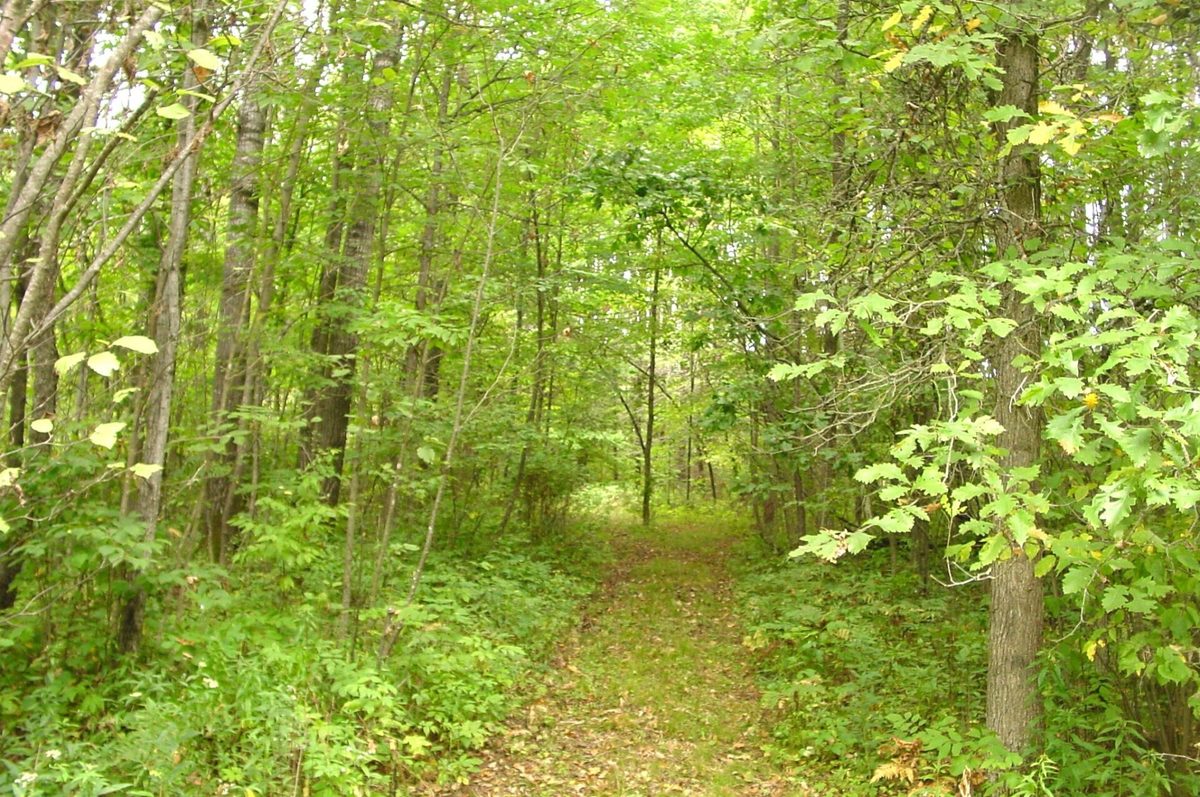 N5391 Hwy. 73, Ingram WI 54526 - Residential house for sale - MLS #1604886 - image28
