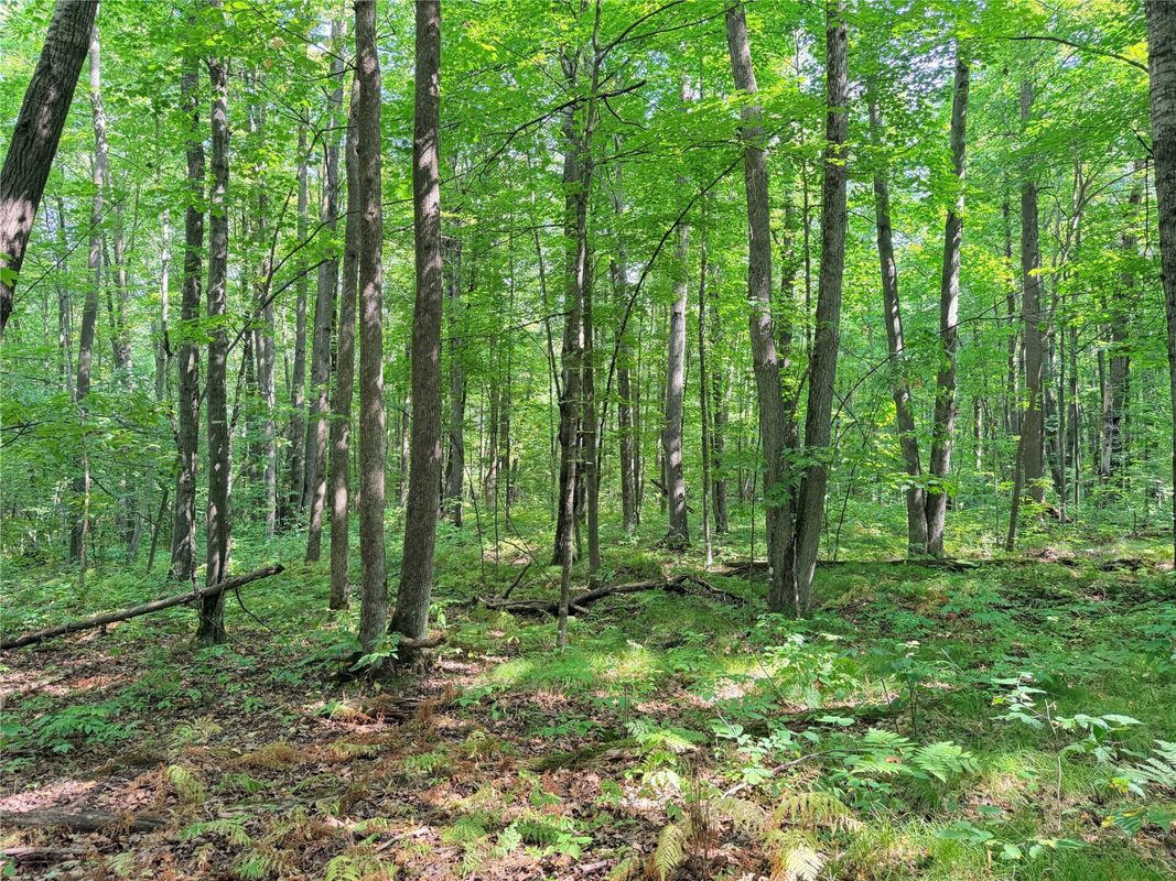 30 Acres County Highway X, Glen Flora WI 54526 - Land house for sale - MLS #1605967 - image13
