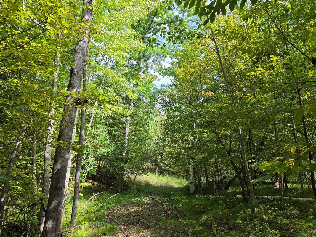 7183 Fremsted Road, Danbury WI 54830 - Land house for sale - MLS #1604943 - image4
