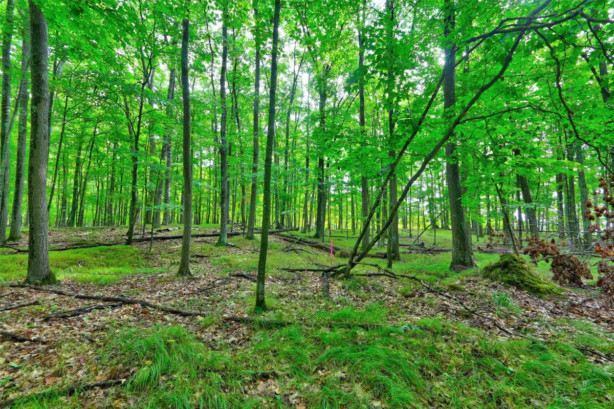 0 Twin Lake Road, Hayward WI 54843 - Land house for sale - MLS #1605254 - image2