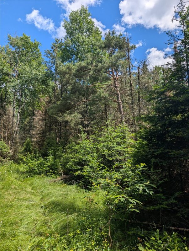 Lot 4 Main Road, Springbrook WI 54875 - Land house for sale - MLS #1602445 - image11