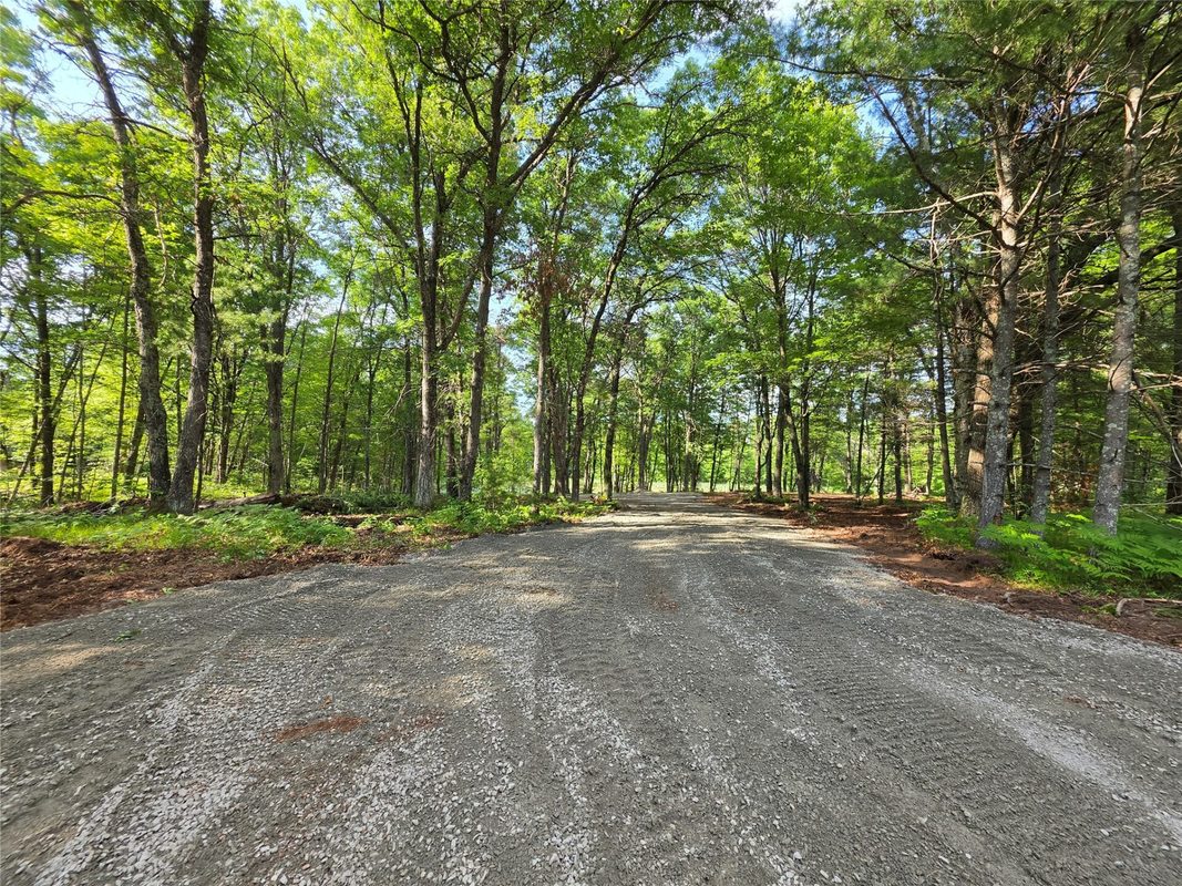 27646 295th (Lot 14) Avenue, Holcombe WI 54745 - Land house for sale - MLS #1602155 - image2