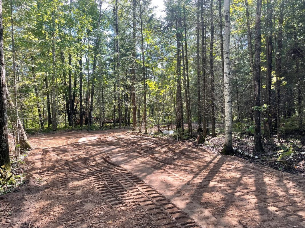 Lot 2 Fadness Road, Winter WI 54896 - Land house for sale - MLS #1605242 - image7