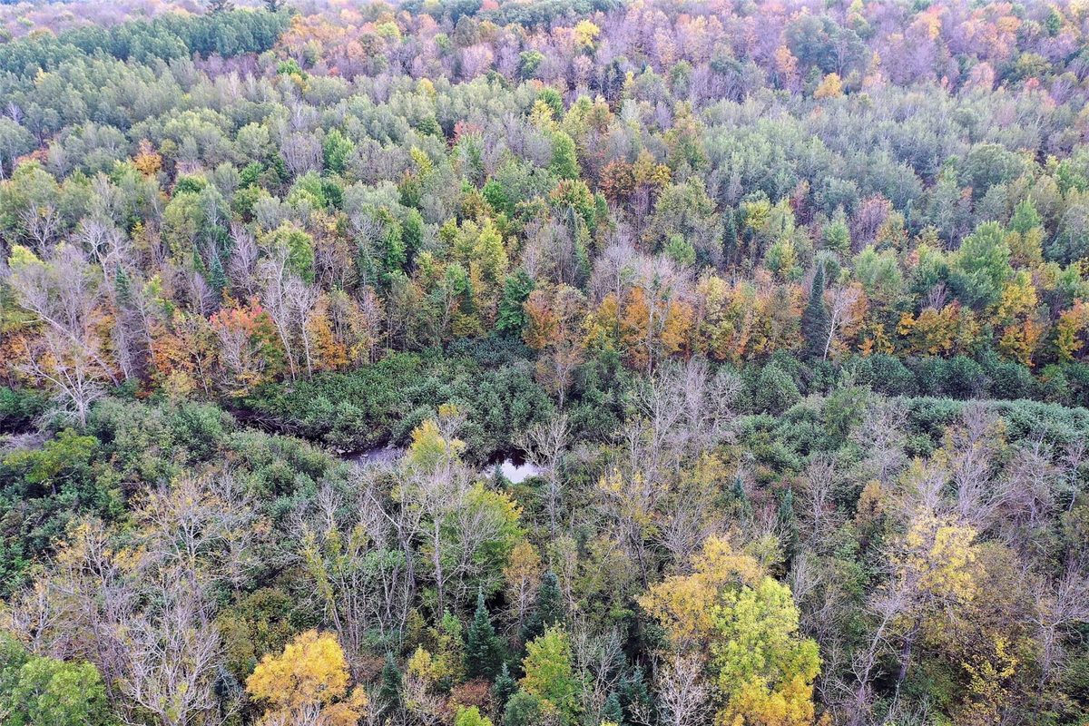 3621 Town Line Road, Glen Flora WI 54526 - Residential house for sale - MLS #1606236 - image10
