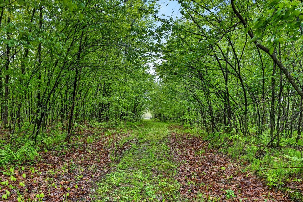 N8771 Fye Road, Trego WI 54888 - Land house for sale - MLS #1603147 - image9