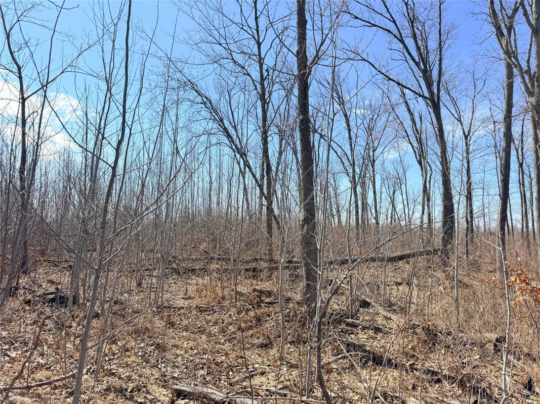 Lot 4 160th Avenue, Turtle Lake, WI — photo 14