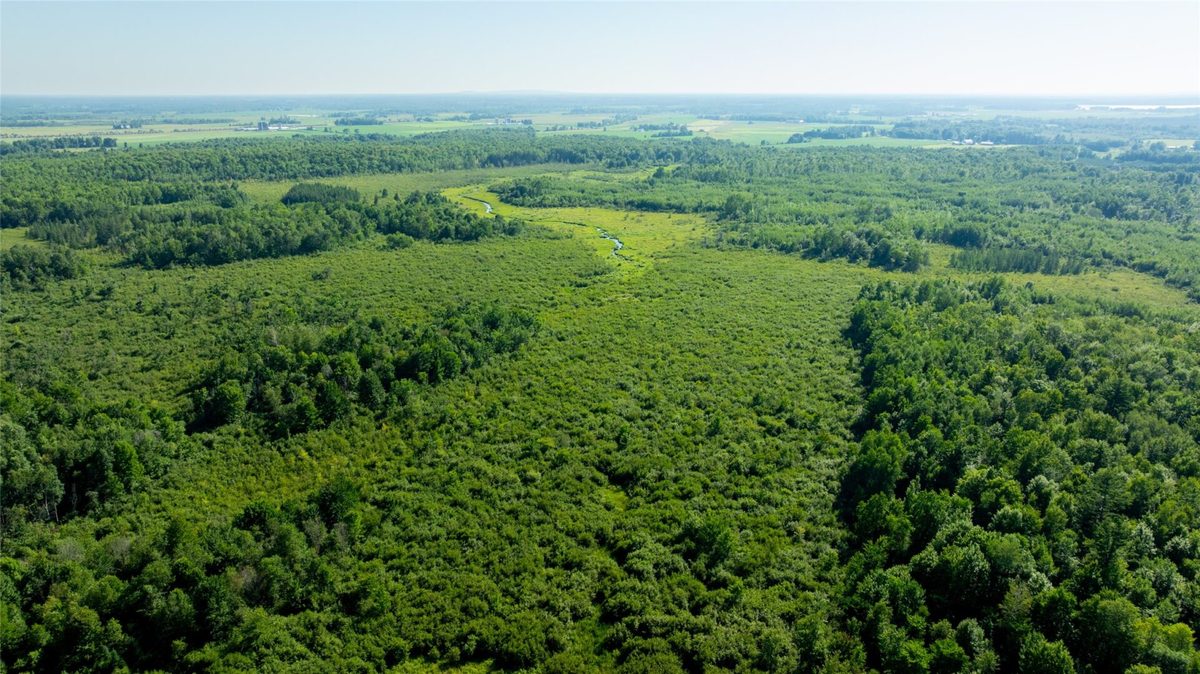 W5343 County Road X, Glen Flora WI 54526 - Land house for sale - MLS #1603306 - image19