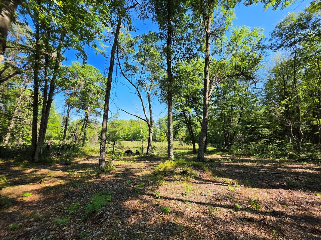 27696 295th (Lot 15) Street, Holcombe WI 54745 - Land house for sale - MLS #1604256 - image6