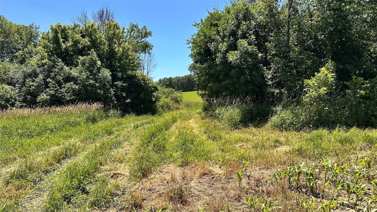 XX County Road BB, Baldwin WI 54002 - Land house for sale - MLS #1602567 - image33