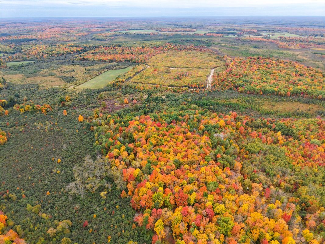 0000 County Road I, Ogema WI 54459 - Land house for sale - MLS #1605613 - image8