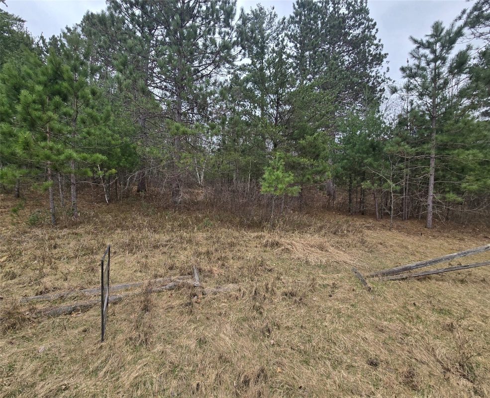 Lot 20 George Lake Road, Barnes, WI — photo 2