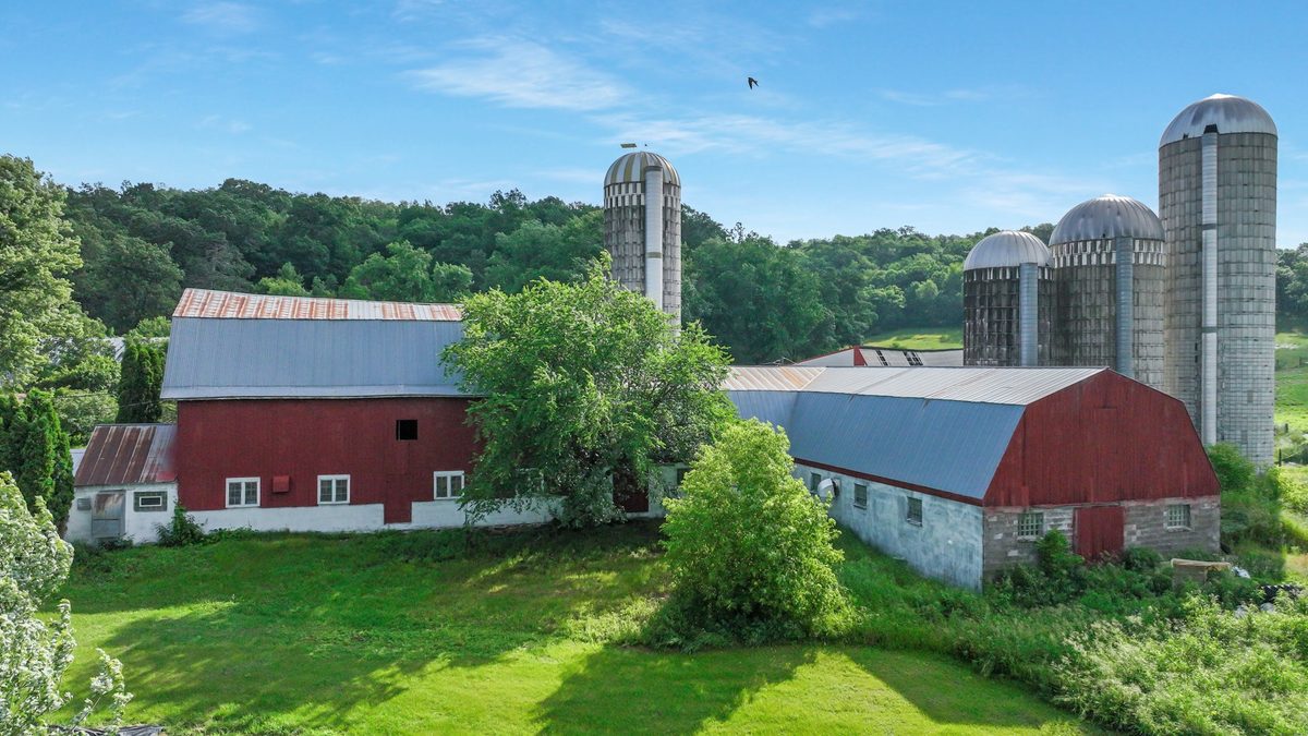 N3684 Claire Road Taylor WI 54659 — photo 30