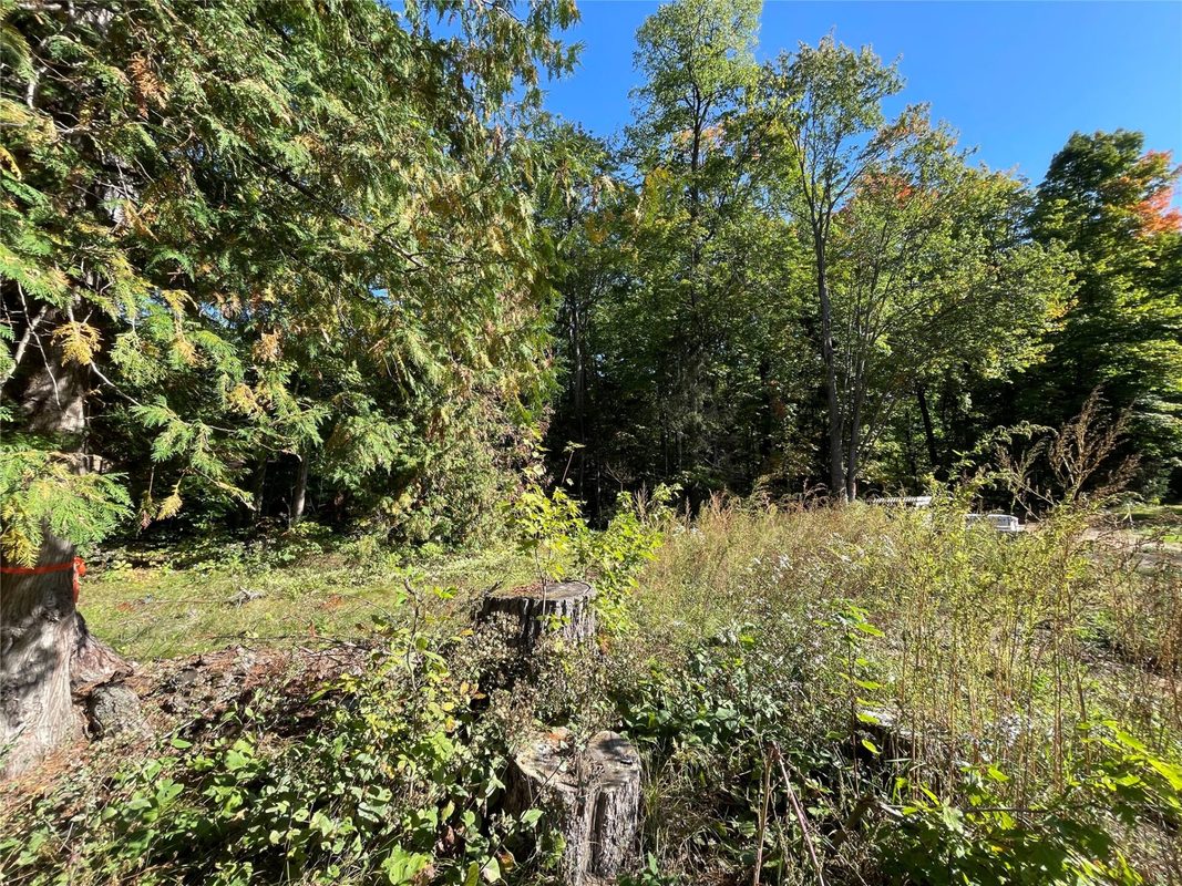 6073 Elsie Road, Stone Lake WI 54876 - Land house for sale - MLS #1602616 - image14