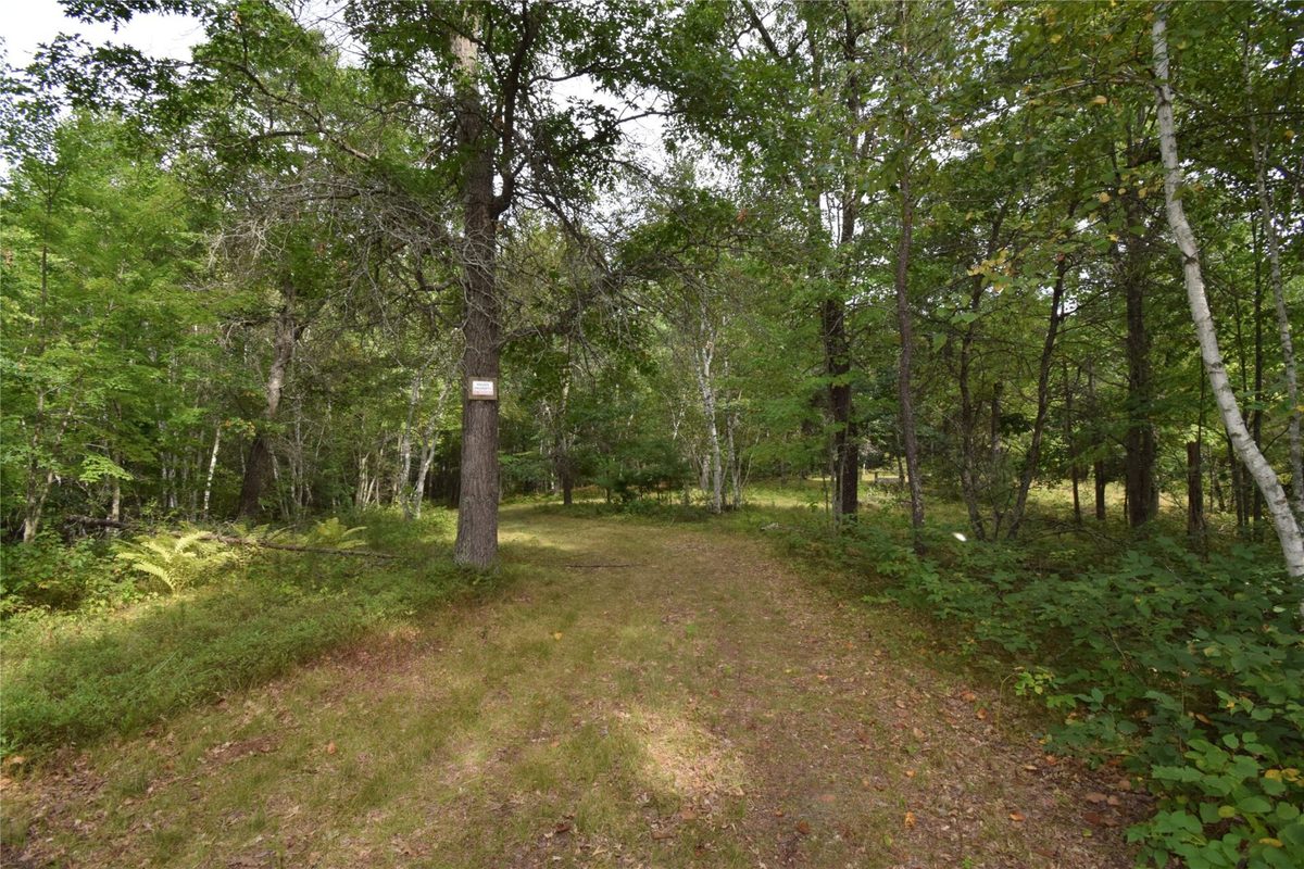 28206 Pardun Road, Danbury WI 54830 - Land house for sale - MLS #1604938 - image8