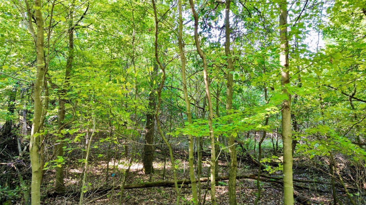 N6497 906th Street, Elk Mound WI 54739 - Land house for sale - MLS #1605558 - image2