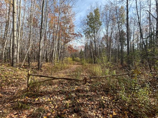 On Dean Road Ladysmith WI 54848