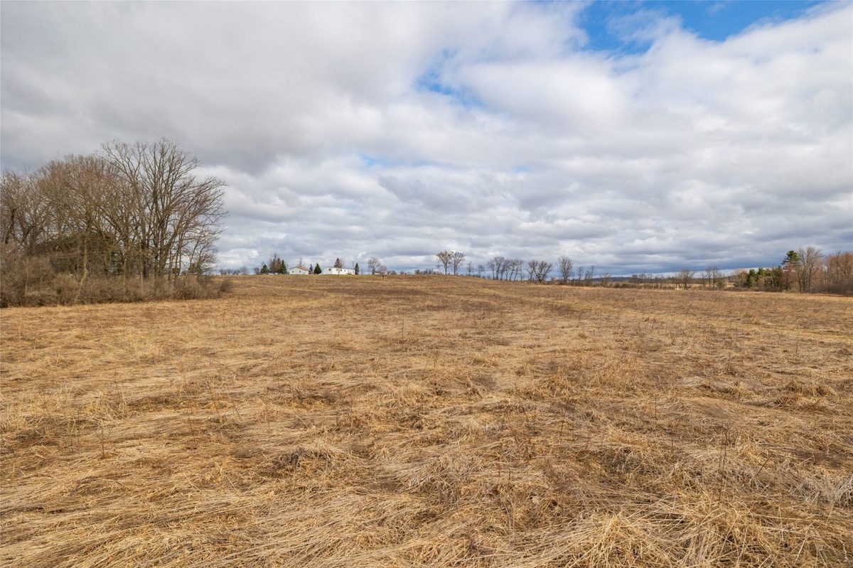 2742 Pray Avenue Neillsville WI 54456 — photo 11