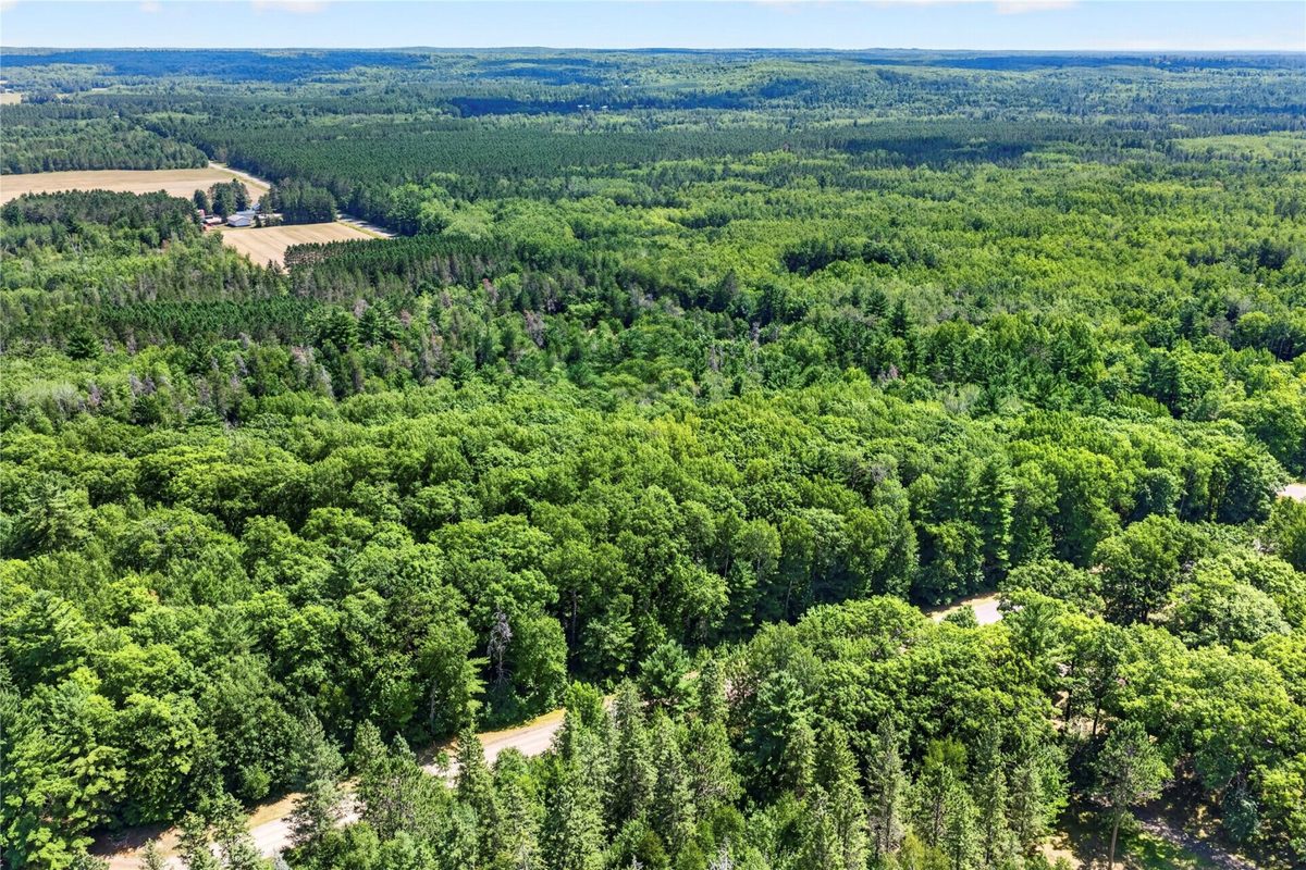 Lot 1 Larsen Road, Hayward WI 54843 - Land house for sale - MLS #1605635 - image12