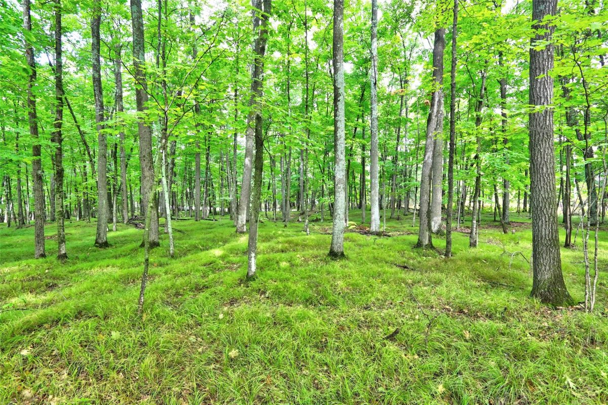 0 Twin Lake Road, Hayward WI 54843 - Land house for sale - MLS #1605254 - image6