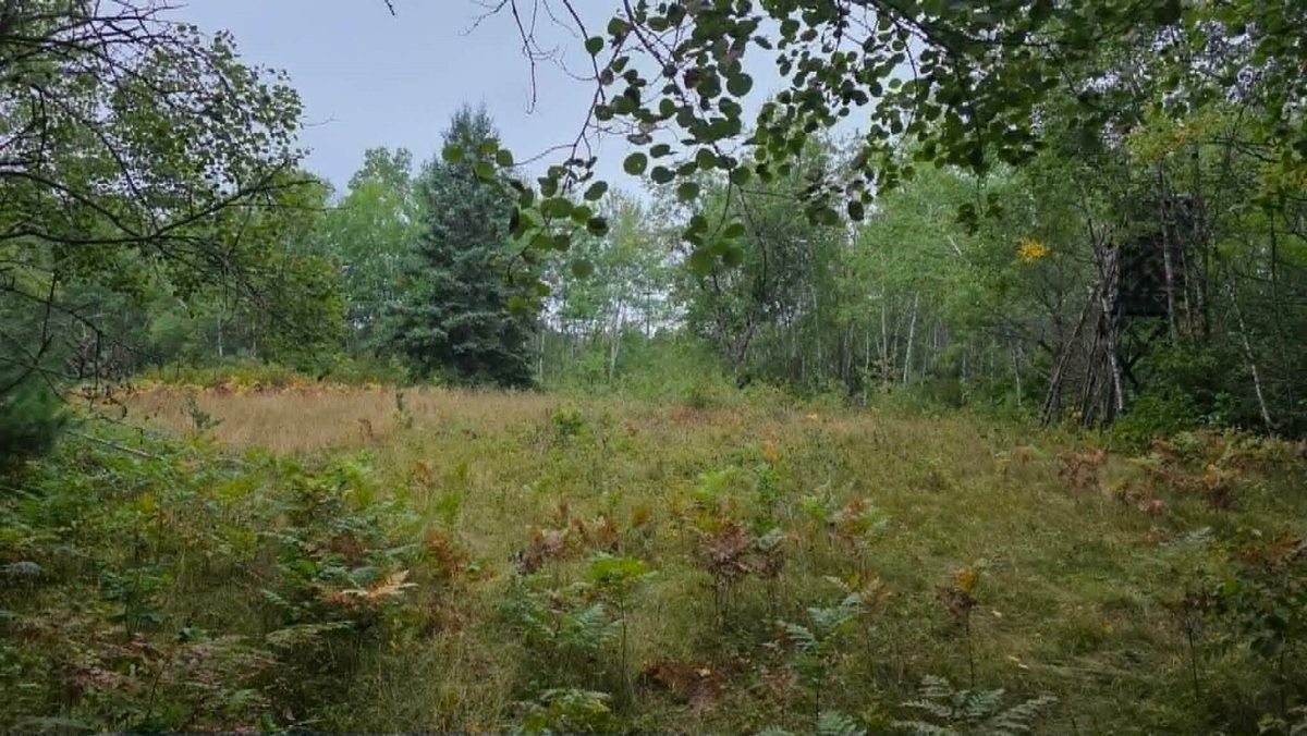 10501 County Hwy M Highway, Springbrook WI 54875 - Land house for sale - MLS #1604696 - image25