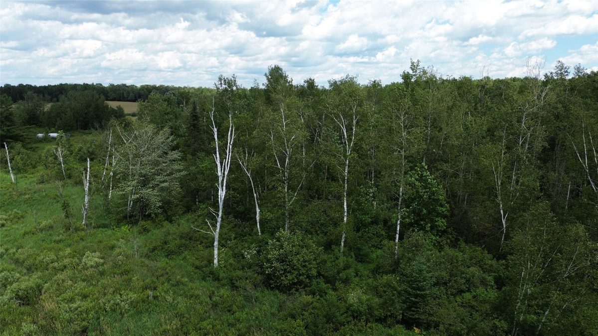 W11199 Edgewood Avenue, Bruce WI 54848 - Land house for sale - MLS #1605749 - image12