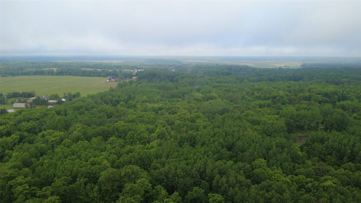 000 Boundary Road, Ringle WI 54471 - Land house for sale - MLS #1602183 - image17